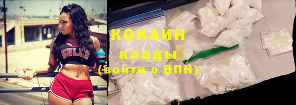стаф Елизово