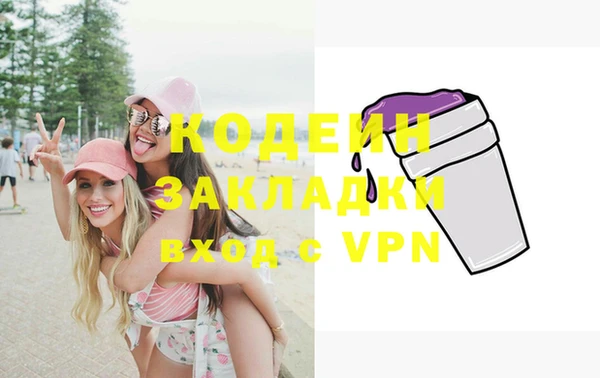 стаф Елизово