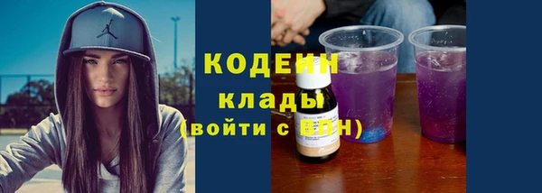 стаф Елизово