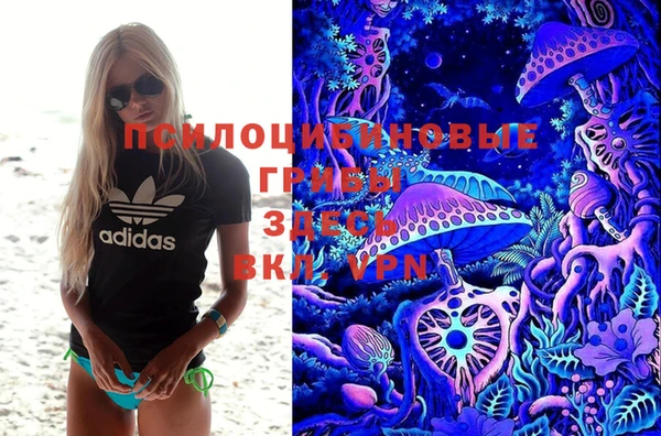 прущие крисы Елабуга