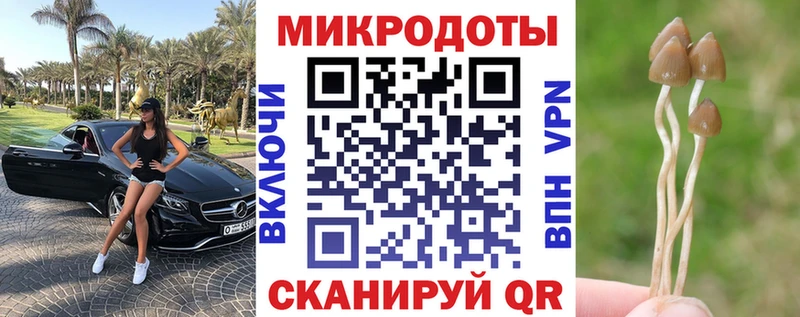 OMG зеркало  даркнет официальный сайт  Петровск-Забайкальский  Псилоцибиновые грибы Psilocybe  купить  
